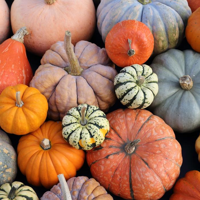 pumpkins superfood skincare ingredients | pumpkin seed oil