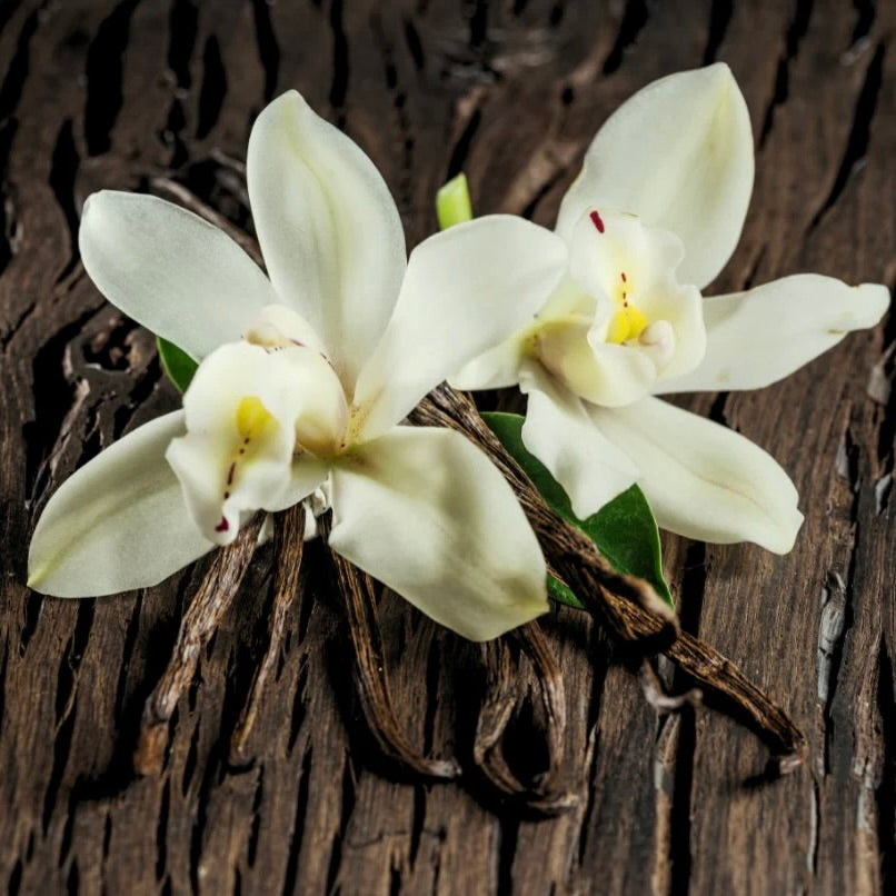 Vanilla
