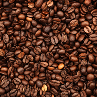 Coffee Extract
