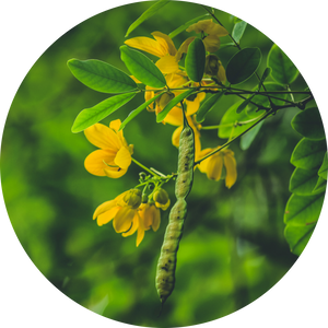 Hyaluronic Acid